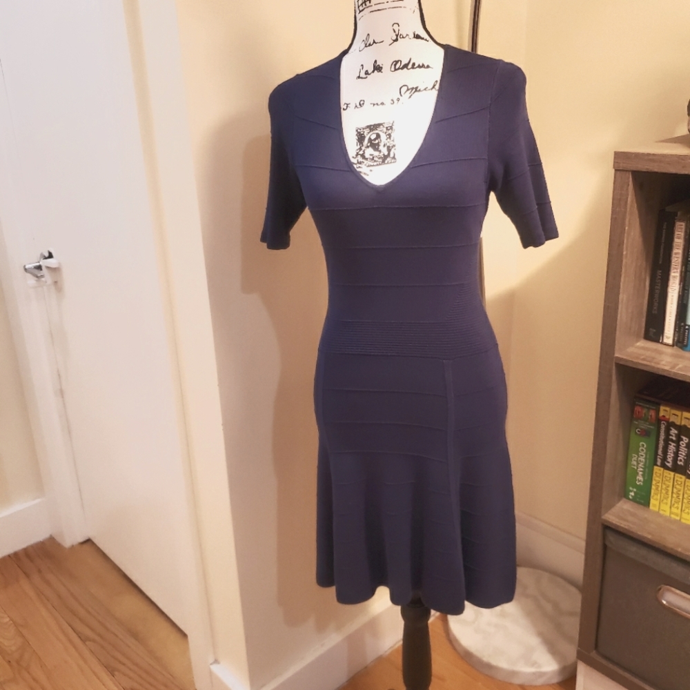 Ann Taylor sweater dress